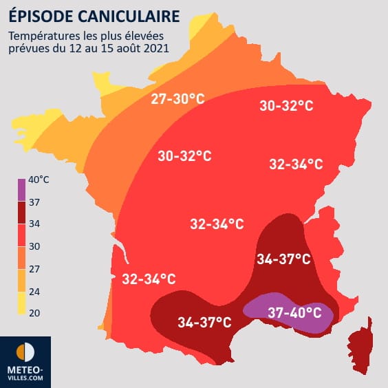 Canicule en Août : Prix des tomates en forte hausse et récolte menacée par la chaleur extrême
