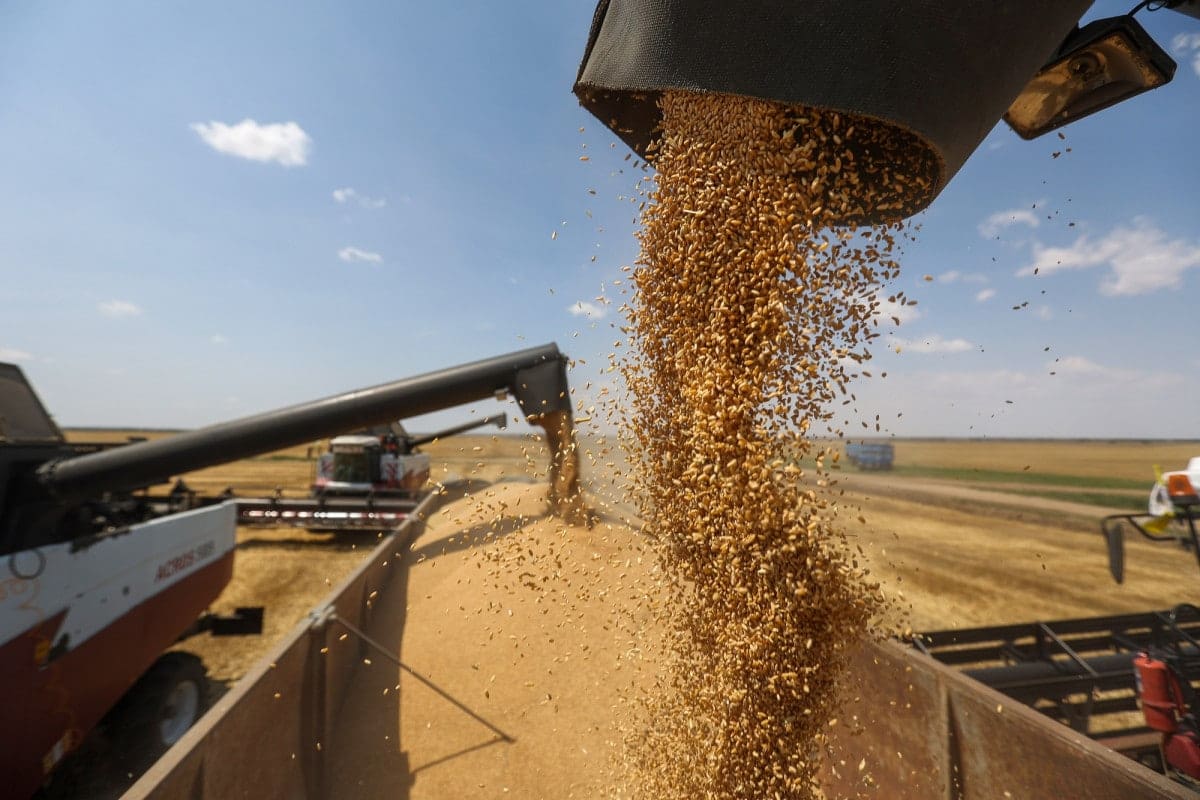 Les marchés alimentaires sous pression : découvrez les produits impactés par la récente flambée des prix